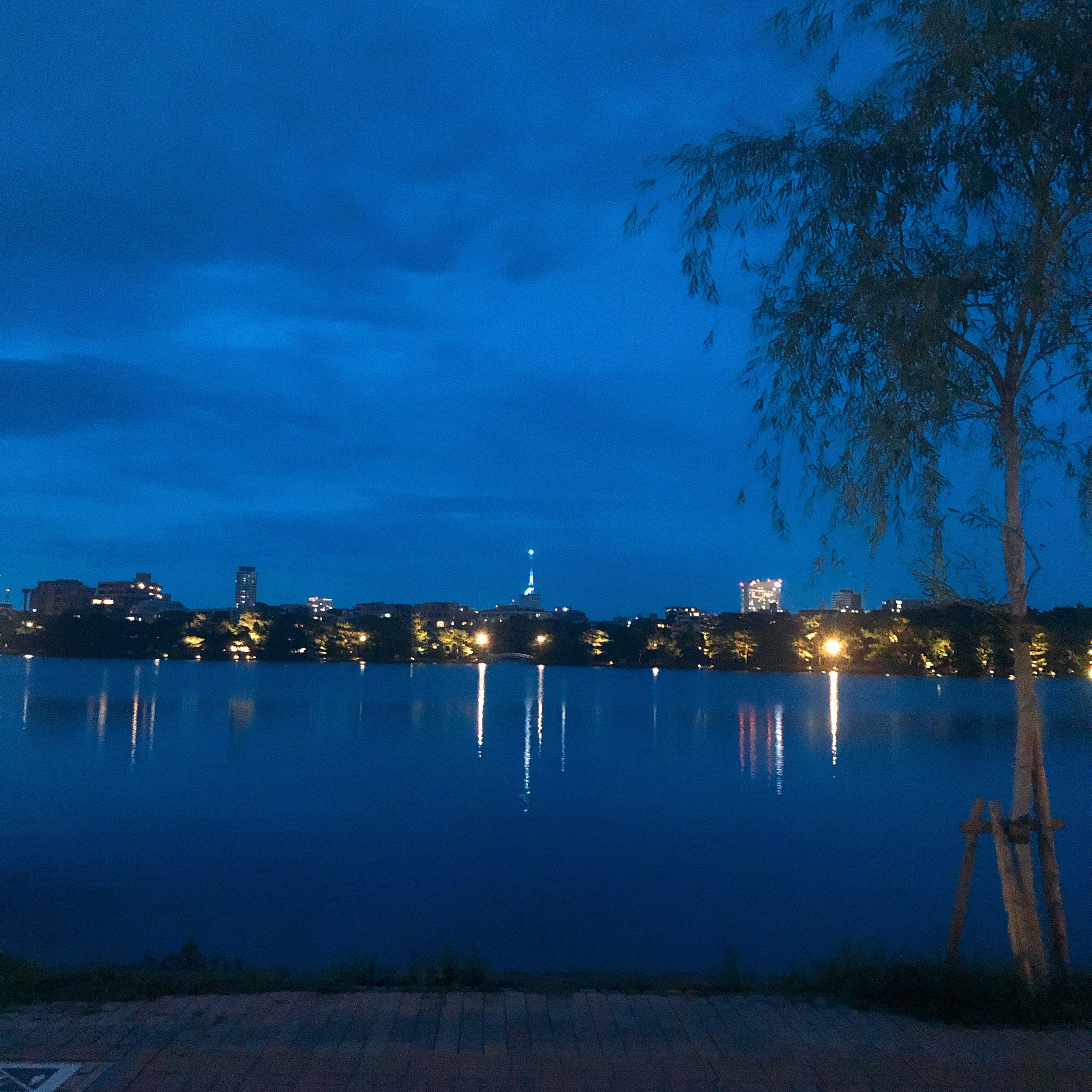 ナイトラン（九州・大濠公園編）