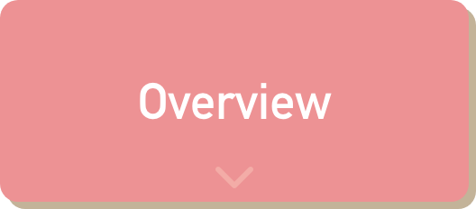 Overview